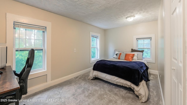 9181 Coleman Rd, Haslett, MI 48840 - bedroom featuring carpet, a textured ceiling, multiple windows, baseboards, and an office area