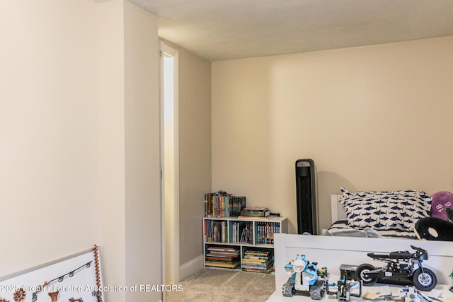 9181 Coleman Rd, Haslett, MI 48840 - view of carpeted bedroom