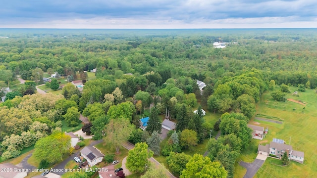 9181 Coleman Rd, Haslett, MI 48840 - drone / aerial view of a forest