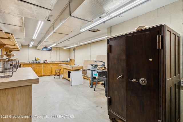 12560 Eaton Rapids Rd, Springport, MI 49284 - below grade area with a workshop area and concrete block wall