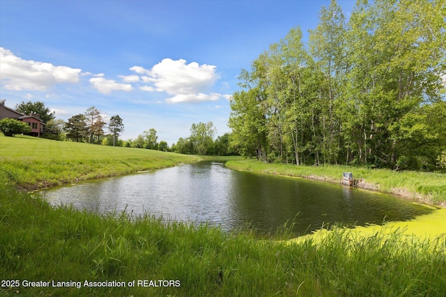 12560 Eaton Rapids Rd, Springport, MI 49284 - water view