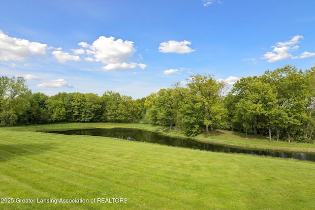 12560 Eaton Rapids Rd, Springport, MI 49284 - view of green lawn featuring a water view