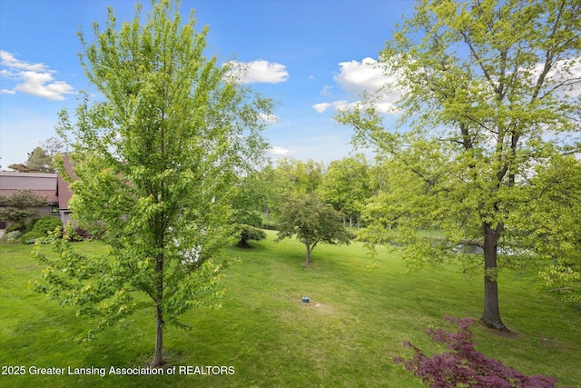 12560 Eaton Rapids Rd, Springport, MI 49284 - view of green lawn