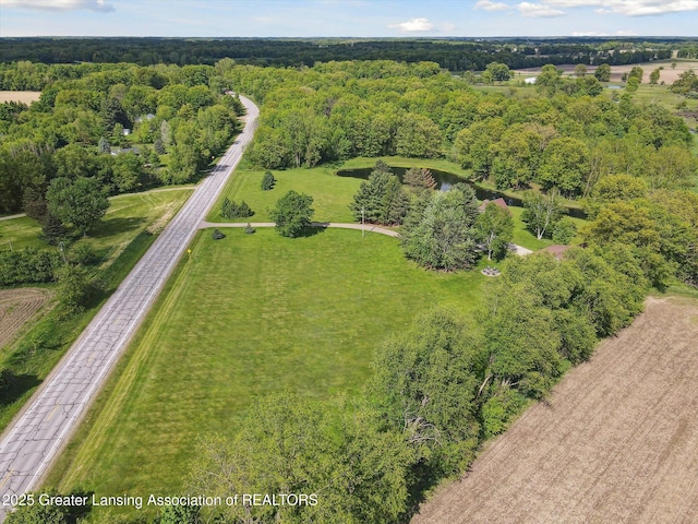 12560 Eaton Rapids Rd, Springport, MI 49284 - aerial view of a forest