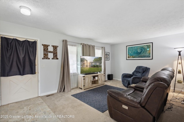 530 S Dibble Blvd, Lansing, MI 48917 - living area with a textured ceiling, baseboards, and carpet flooring
