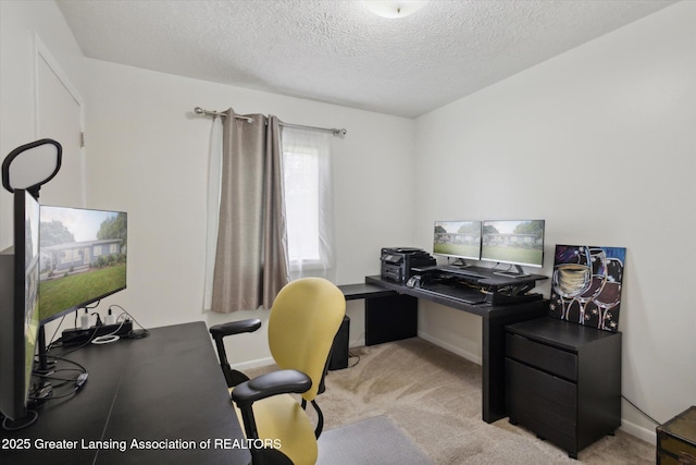 530 S Dibble Blvd, Lansing, MI 48917 - office space featuring light carpet, a textured ceiling, and baseboards