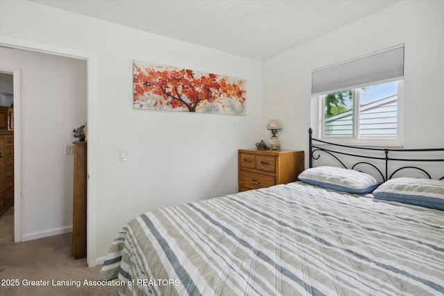 530 S Dibble Blvd, Lansing, MI 48917 - carpeted bedroom with baseboards