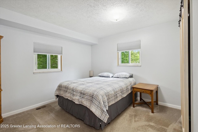 530 S Dibble Blvd, Lansing, MI 48917 - bedroom featuring multiple windows, carpet flooring, a textured ceiling, and baseboards