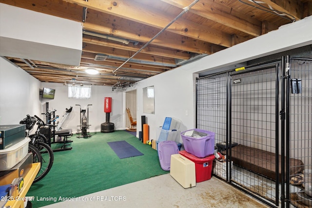 530 S Dibble Blvd, Lansing, MI 48917 - view of exercise area