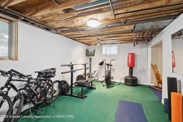530 S Dibble Blvd, Lansing, MI 48917 - view of workout area