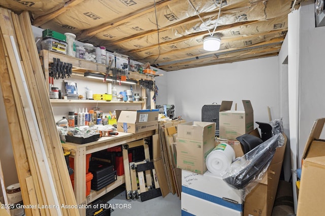 530 S Dibble Blvd, Lansing, MI 48917 - view of storage