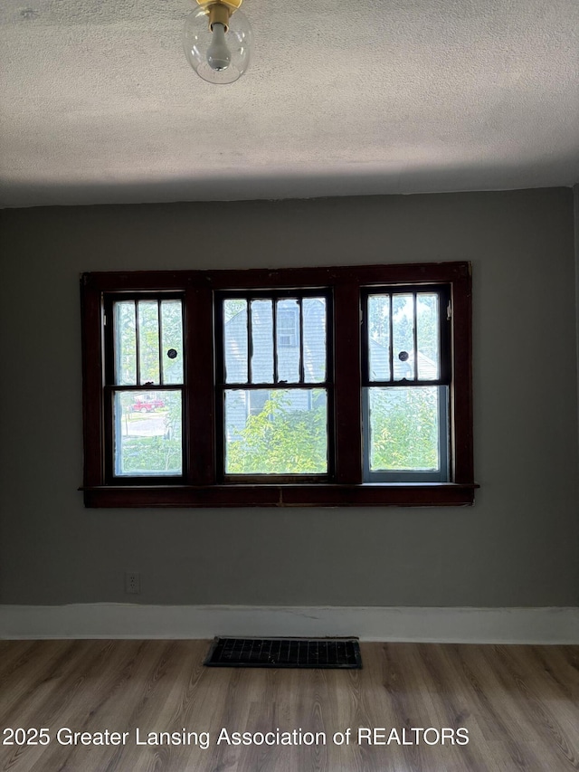 2113 S Rundle Ave, Lansing, MI 48910 - spare room with plenty of natural light, wood finished floors, a textured ceiling, and baseboards