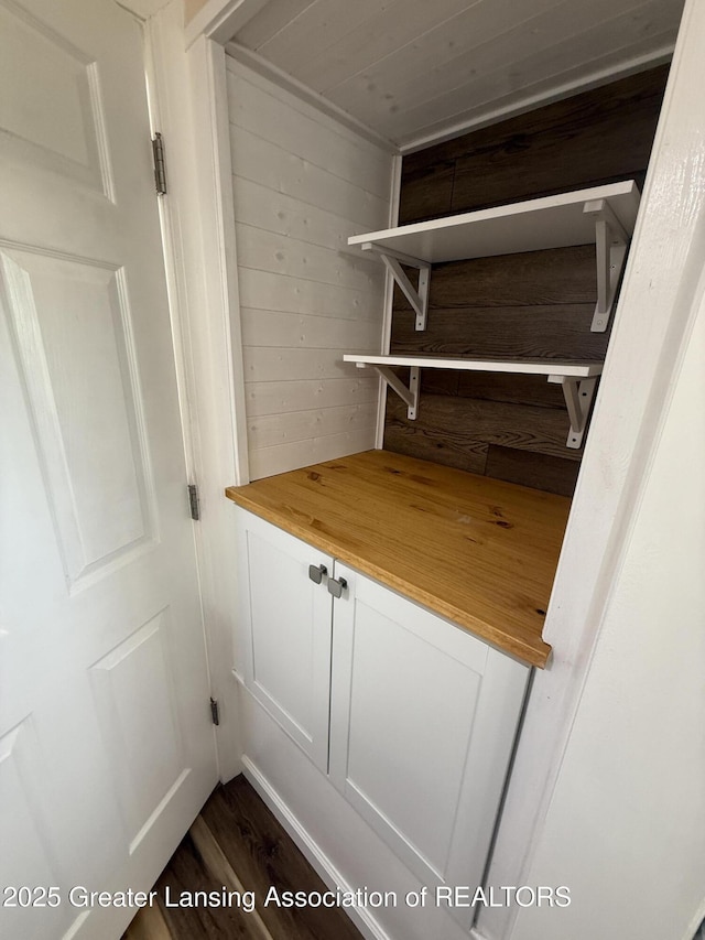 4412 Darron Dr, Lansing, MI 48917 - view of closet