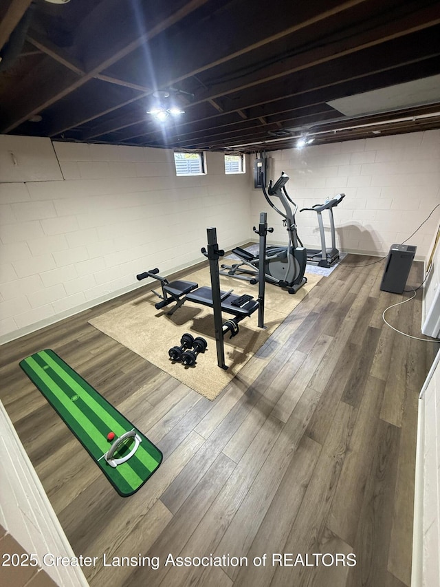 4412 Darron Dr, Lansing, MI 48917 - workout room with wood finished floors