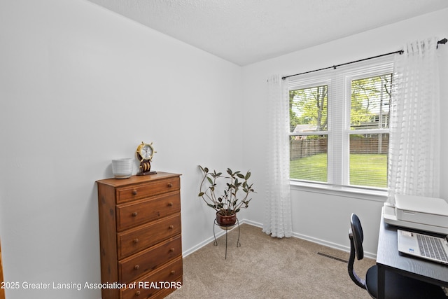 401 Julian Ave, Lansing, MI 48917 - carpeted office space featuring baseboards
