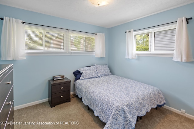 401 Julian Ave, Lansing, MI 48917 - bedroom featuring multiple windows, light colored carpet, and baseboards