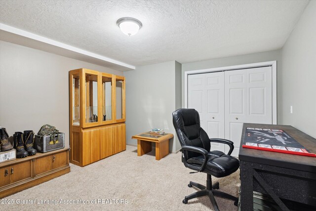 2424 S Canfield Rd, Eaton Rapids, MI 48827 - carpeted office featuring a textured ceiling