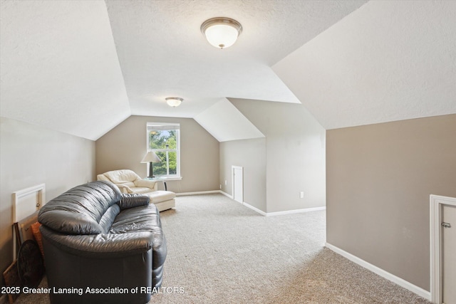 2424 S Canfield Rd, Eaton Rapids, MI 48827 - sitting room with carpet floors, lofted ceiling, and a textured ceiling