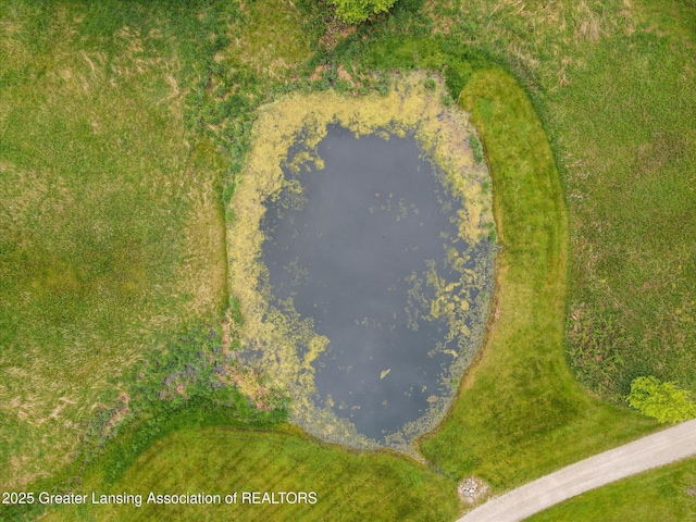 2424 S Canfield Rd, Eaton Rapids, MI 48827 - aerial view