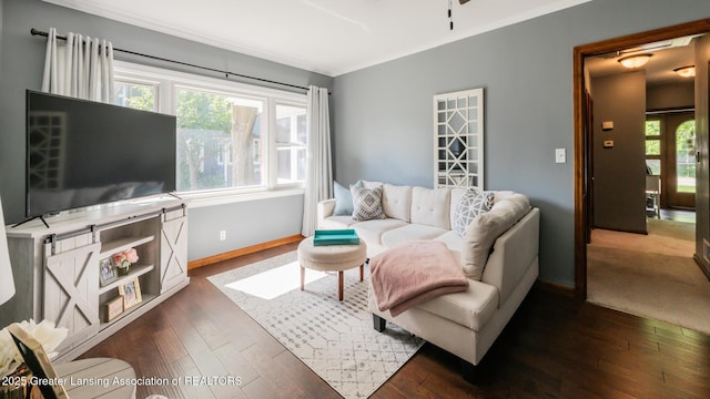 415 W Lawrence Ave, Charlotte, MI 48813 - living area with ornamental molding, dark wood-style flooring, baseboards, and ceiling fan