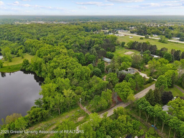 1346 E Howe Rd, Dewitt, MI 48820