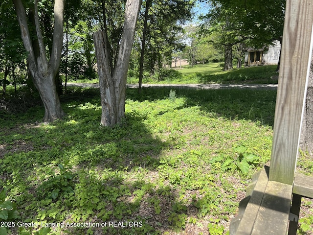 27620 C Dr N, Albion, MI 49224 - photo 10