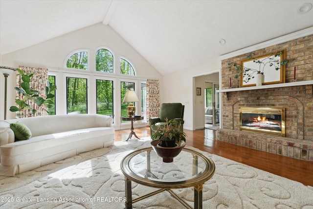 12728 Oneida Woods Trl, Grand Ledge, MI 48837 - living area with wood finished floors, high vaulted ceiling, a fireplace, and baseboards