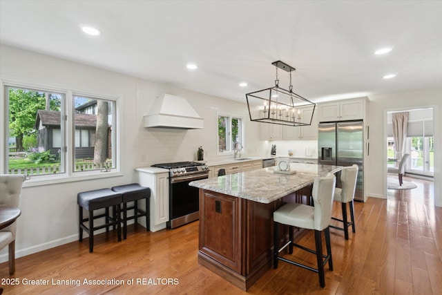 12728 Oneida Woods Trl, Grand Ledge, MI 48837 - kitchen featuring appliances with stainless steel finishes, premium range hood, a sink, a center island, and light stone countertops