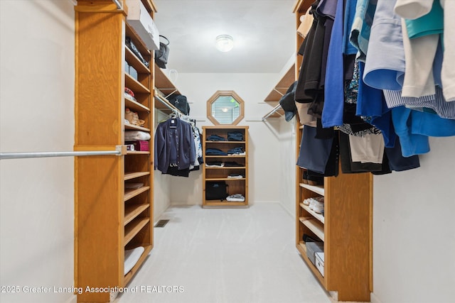 12728 Oneida Woods Trl, Grand Ledge, MI 48837 - view of walk in closet
