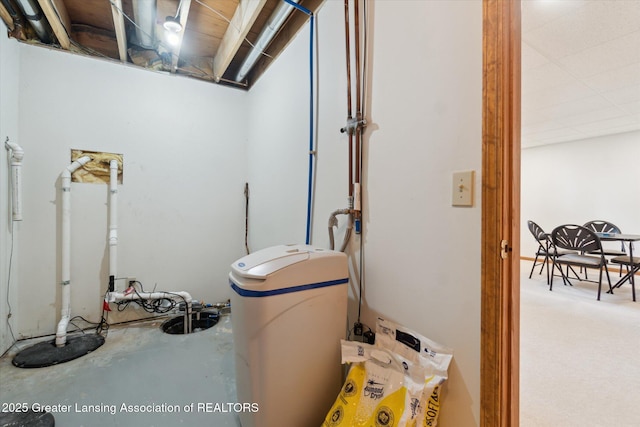12728 Oneida Woods Trl, Grand Ledge, MI 48837 - below grade area featuring a water softener system