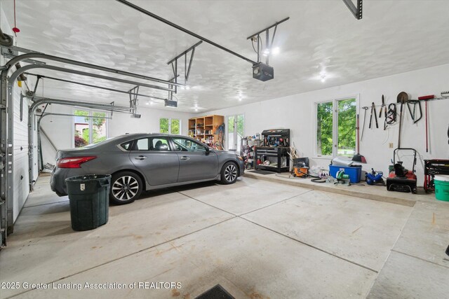12728 Oneida Woods Trl, Grand Ledge, MI 48837 - garage featuring a garage door opener