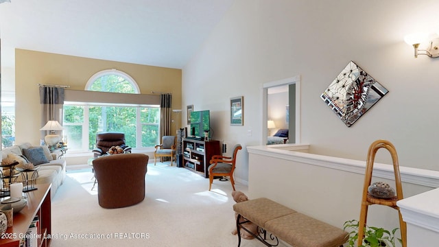 5167 Sapphire Cir, East Lansing, MI 48823 - living room with high vaulted ceiling, carpet, and baseboards