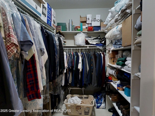 5167 Sapphire Cir, East Lansing, MI 48823 - view of spacious closet