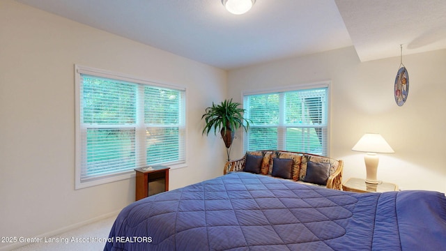 5167 Sapphire Cir, East Lansing, MI 48823 - bedroom with carpet and baseboards