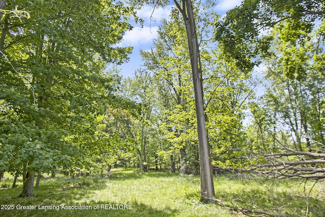 2550 Webster Rd, Lansing, MI 48917