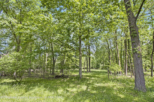 2550 Webster Rd, Lansing, MI 48917