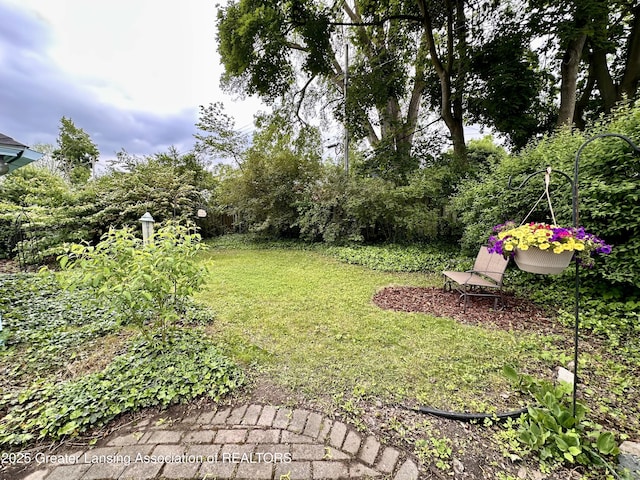 841 Huntington Rd, East Lansing, MI 48823 - view of green lawn