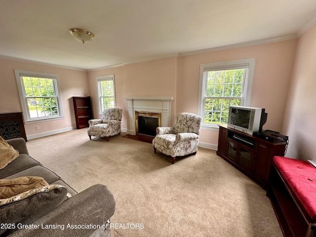 841 Huntington Rd, East Lansing, MI 48823 - living room featuring ornamental molding, carpet floors, baseboards, and a fireplace with flush hearth