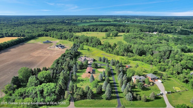 345 Linn Rd, Williamston, MI 48895 - view of rural area featuring a forest