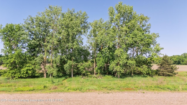 9271 W Burt Rd, Saint Charles, MI 48655 - view of local wilderness