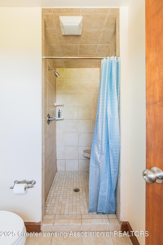 9271 W Burt Rd, Saint Charles, MI 48655 - full bathroom with a shower stall, toilet, and baseboards