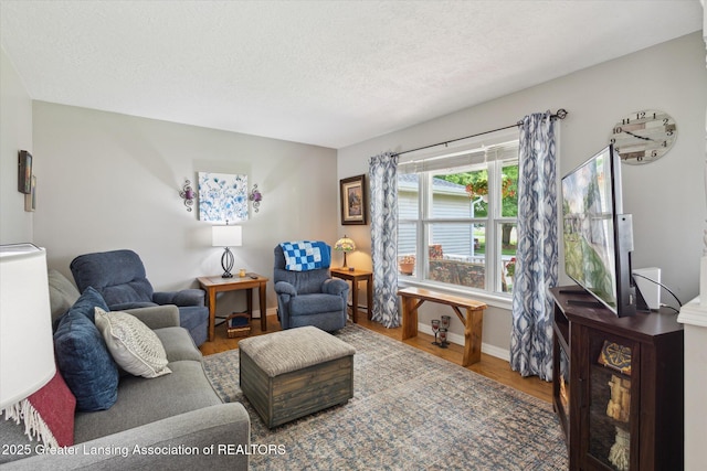 10470 Barnes Hwy, Eaton Rapids, MI 48827 - living room featuring wood finished floors, a textured ceiling, and baseboards