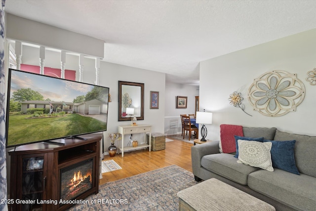 10470 Barnes Hwy, Eaton Rapids, MI 48827 - living room with wood finished floors and a glass covered fireplace