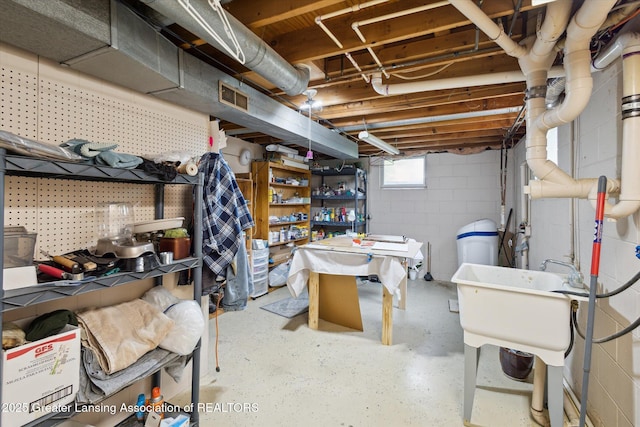 10470 Barnes Hwy, Eaton Rapids, MI 48827 - basement with concrete block wall