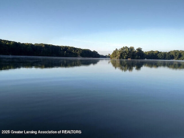 04 Lakeview Ct, Perrinton, MI 48871