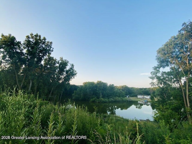 04 Lakeview Ct, Perrinton, MI 48871