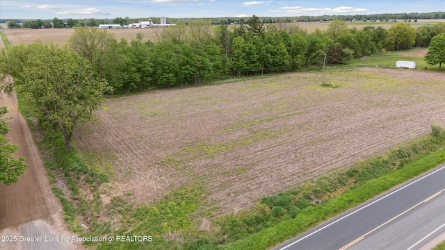 V/L W Colony Rd, Saint Johns, MI 48879