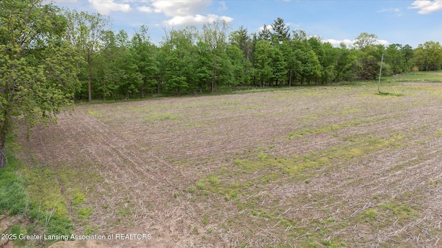 V/L W Colony Rd, Saint Johns, MI 48879