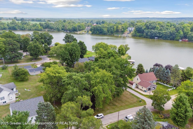 4951 Shore Ln, Perrinton, MI 48871 - bird's eye view of a nearby body of water