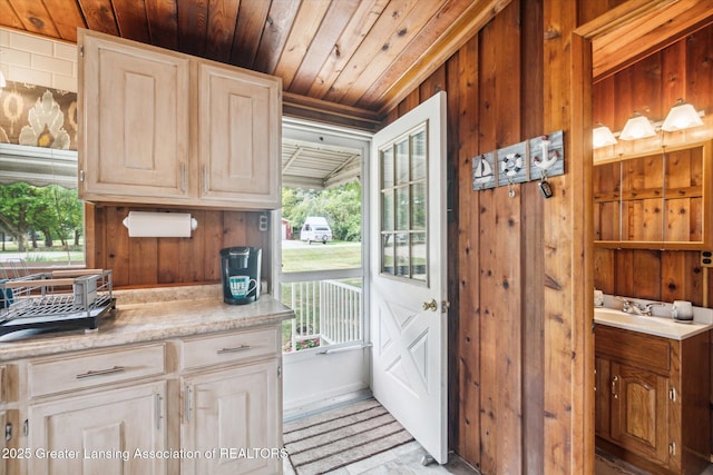 4951 Shore Ln, Perrinton, MI 48871 - entryway featuring plenty of natural light, wood ceiling, and wooden walls